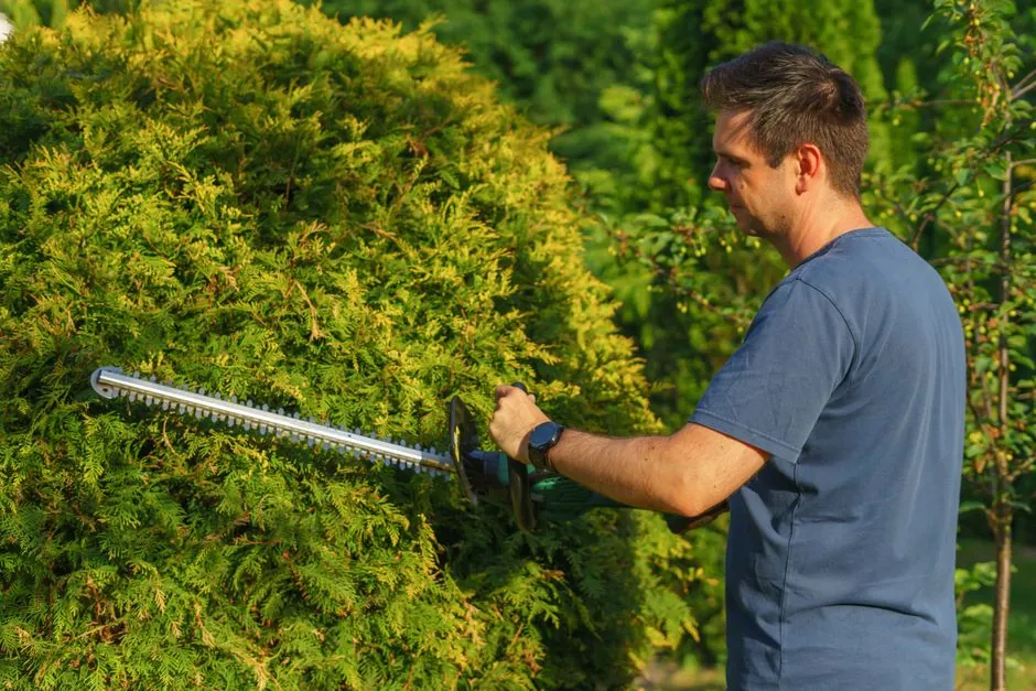 Édouard Favre-Félix, paysagiste et arboriste à Annecy-le-Vieux